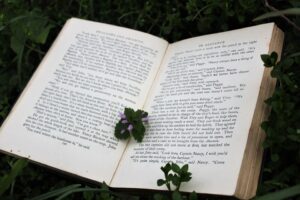 Why Bengali Literature Continues to Inspire